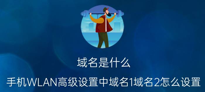 域名是什么 手机WLAN高级设置中域名1域名2怎么设置？